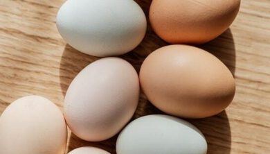 كيف تعرف البيض الفاسد؟ 6 اختبارات وعلامات واضحة 7 بيض المائدة
