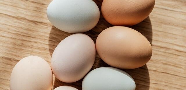 كيف تعرف البيض الفاسد؟ 6 اختبارات وعلامات واضحة 1 بيض المائدة