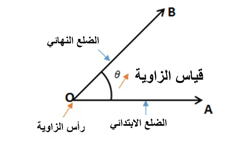 أجزاء الزاوية