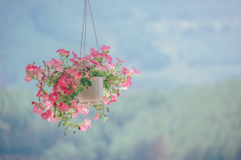 إضافة اللمسات الطبيعية لتحسين مزاجك